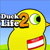 Duck Life 2
